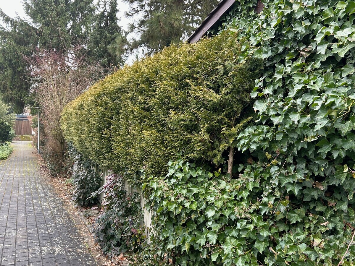 Rückansicht