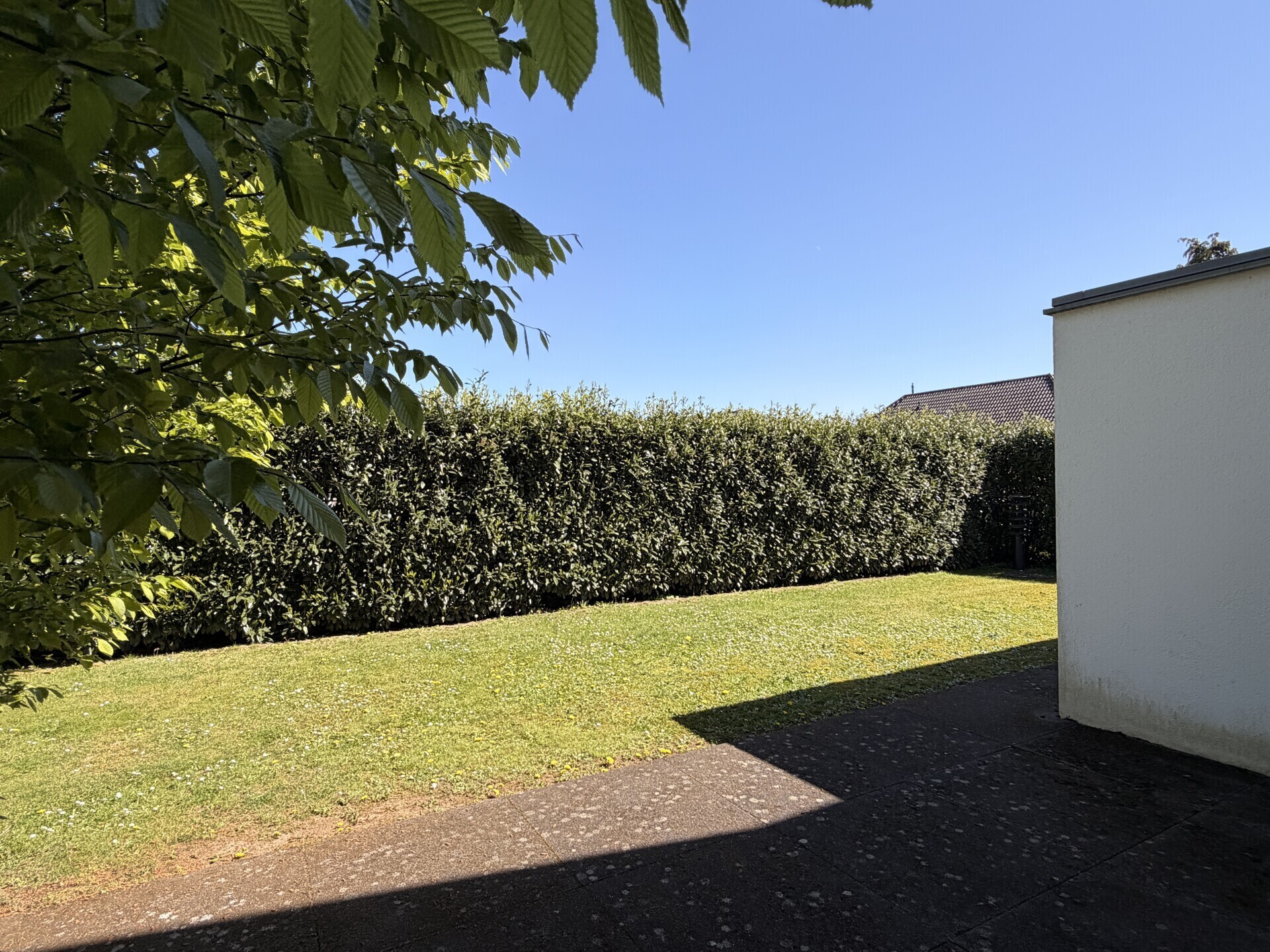 Pflegeleuchter Garten