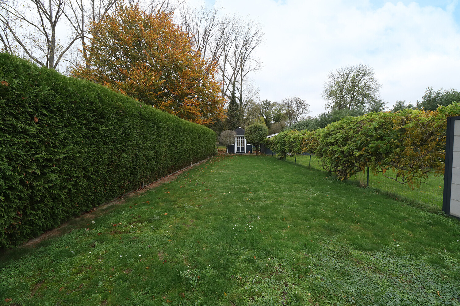 Garten, Bild Nr. 2