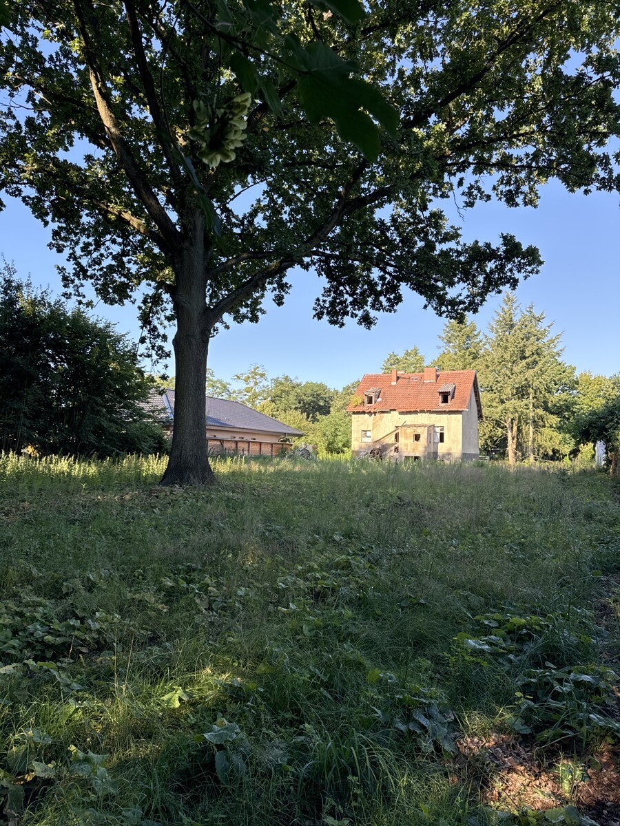 Blick auf das Grundstück