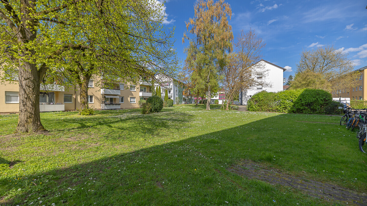 Umgebung - Garten