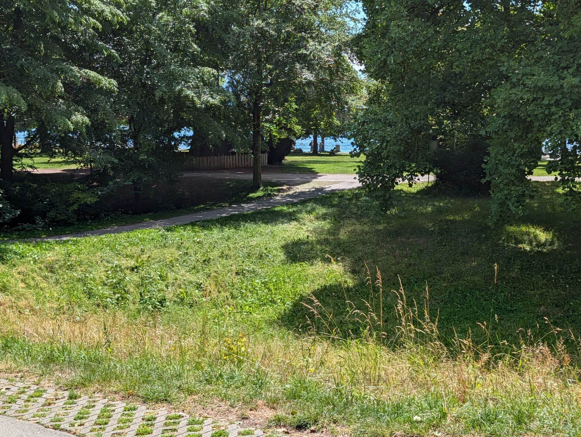 Bodensee - Gegenüber am Gehweg