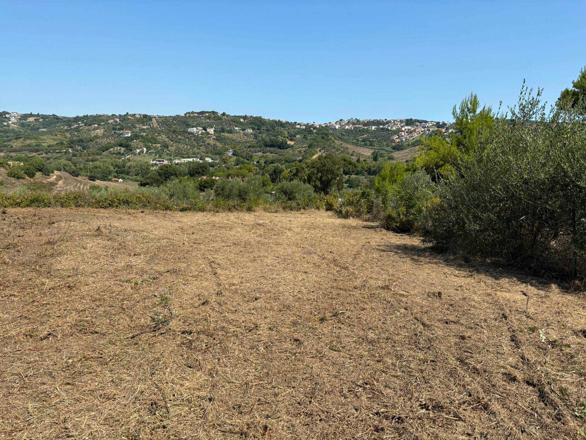 WhatsApp Image 2025-08-08 at 08.58.42