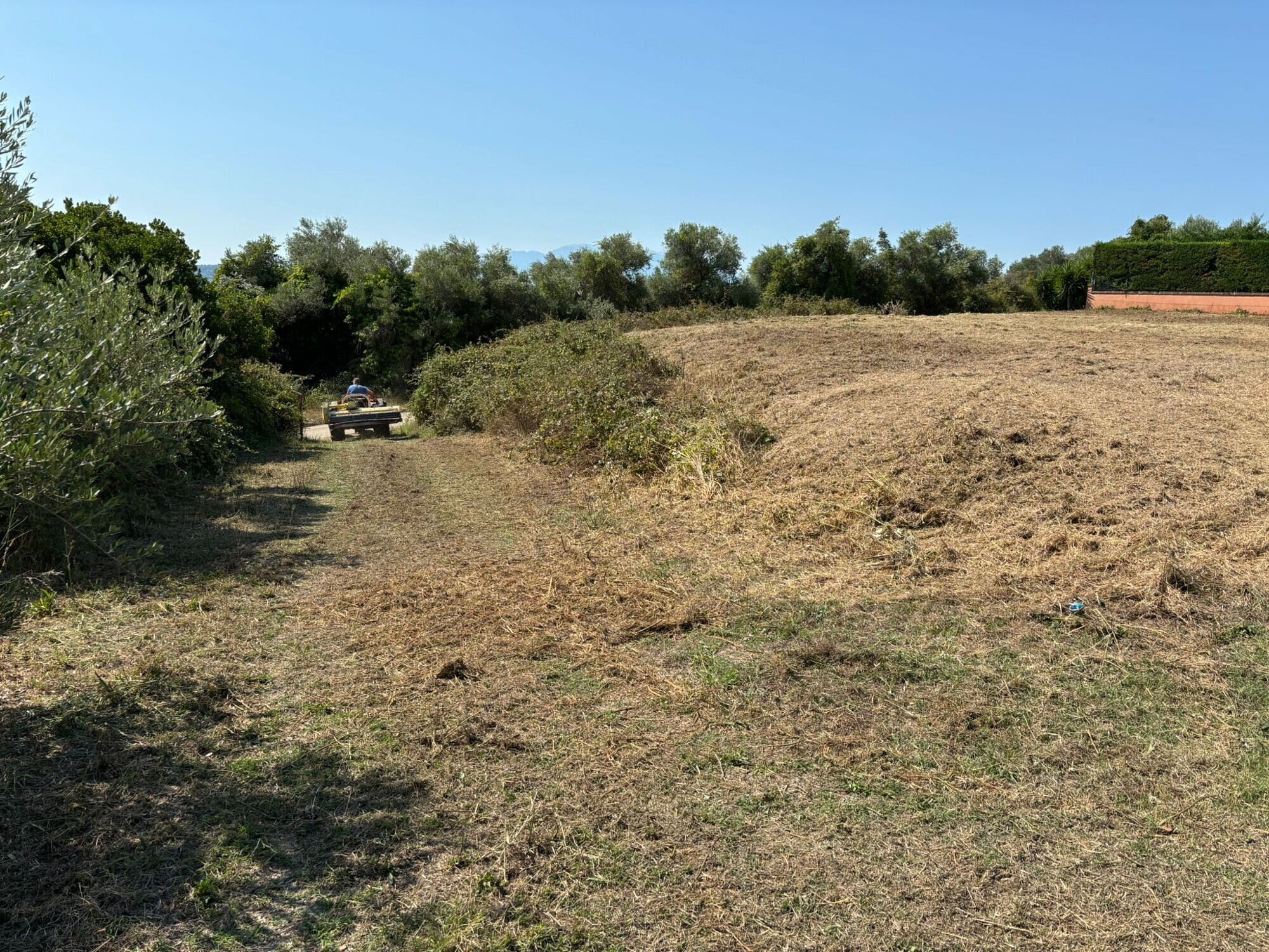 WhatsApp Image 2025-08-08 at 08.58.43