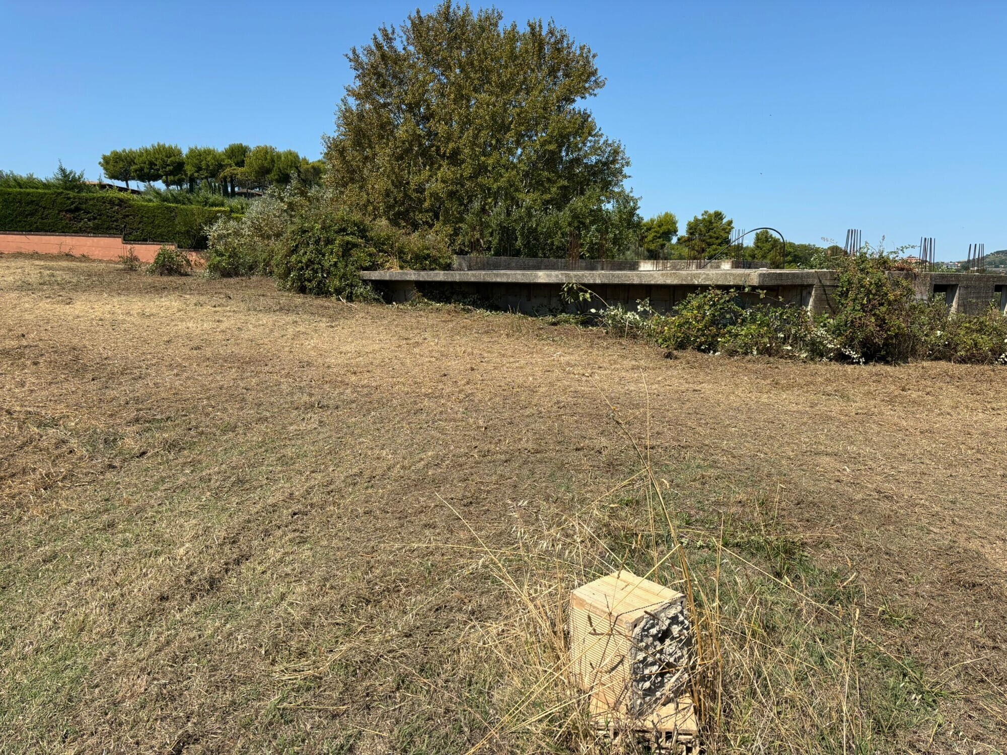 WhatsApp Image 2025-08-08 at 08.58.42 (2)