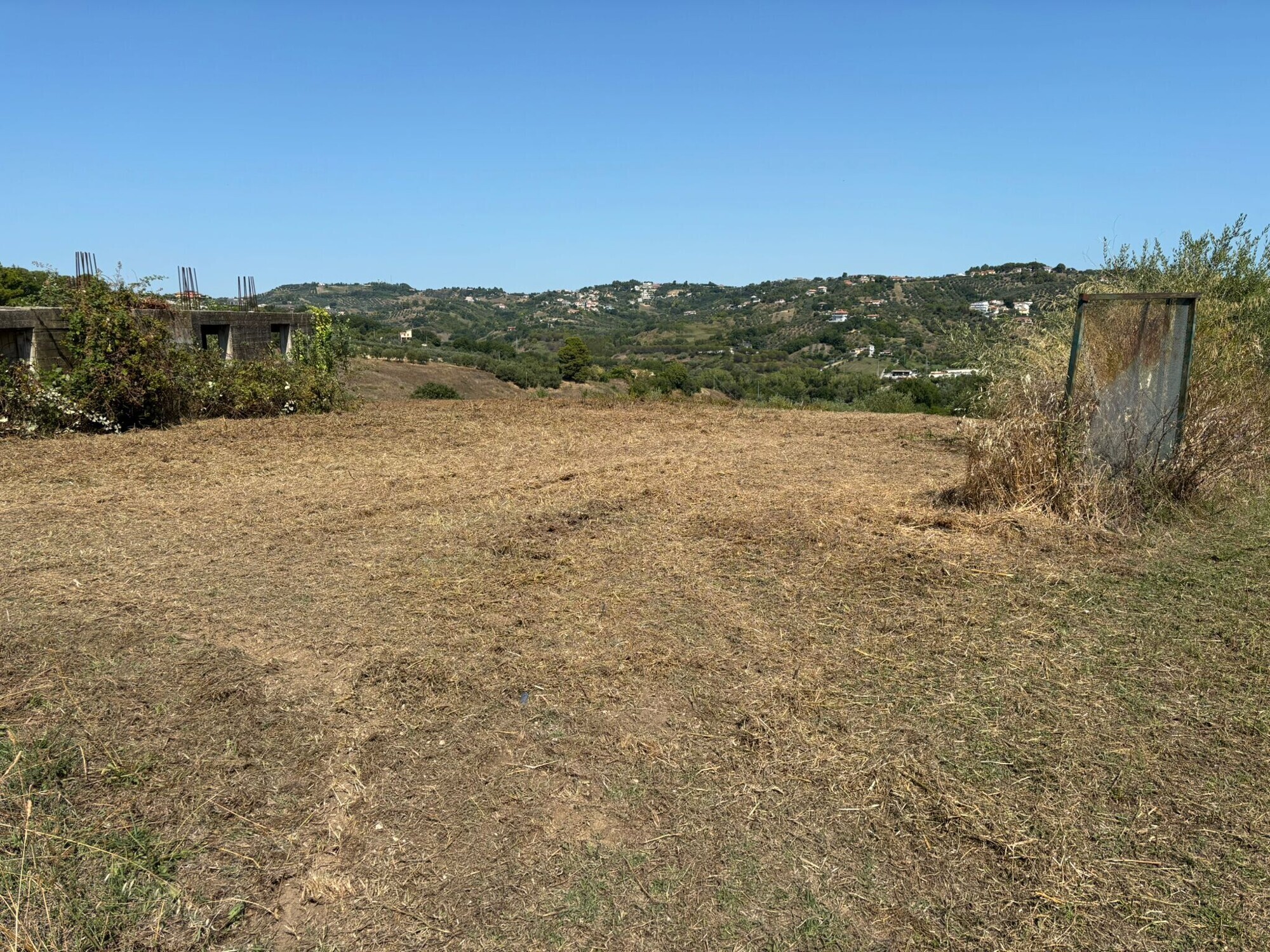 WhatsApp Image 2025-08-08 at 08.58.42 (1)