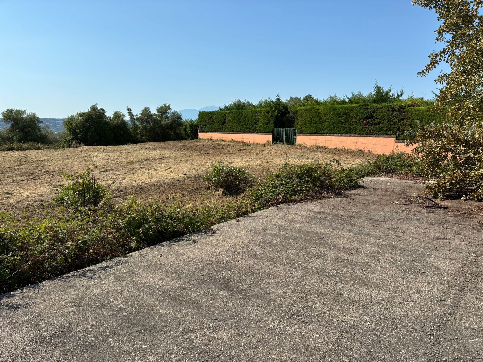 WhatsApp Image 2025-08-08 at 08.58.43 (2)