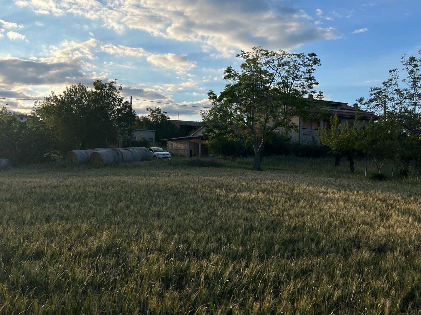 WhatsApp Image 2024-05-14 at 14.17.01 (8)