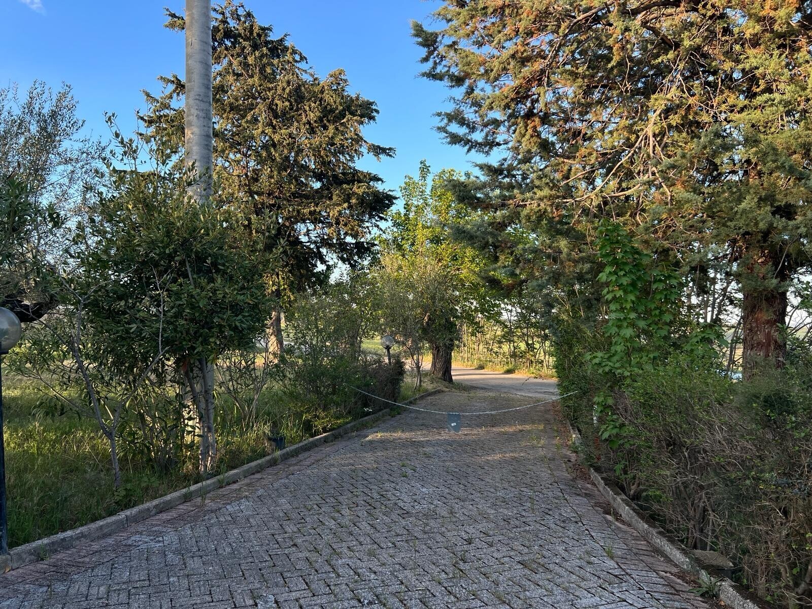 WhatsApp Image 2024-05-14 at 14.17.01 (3)