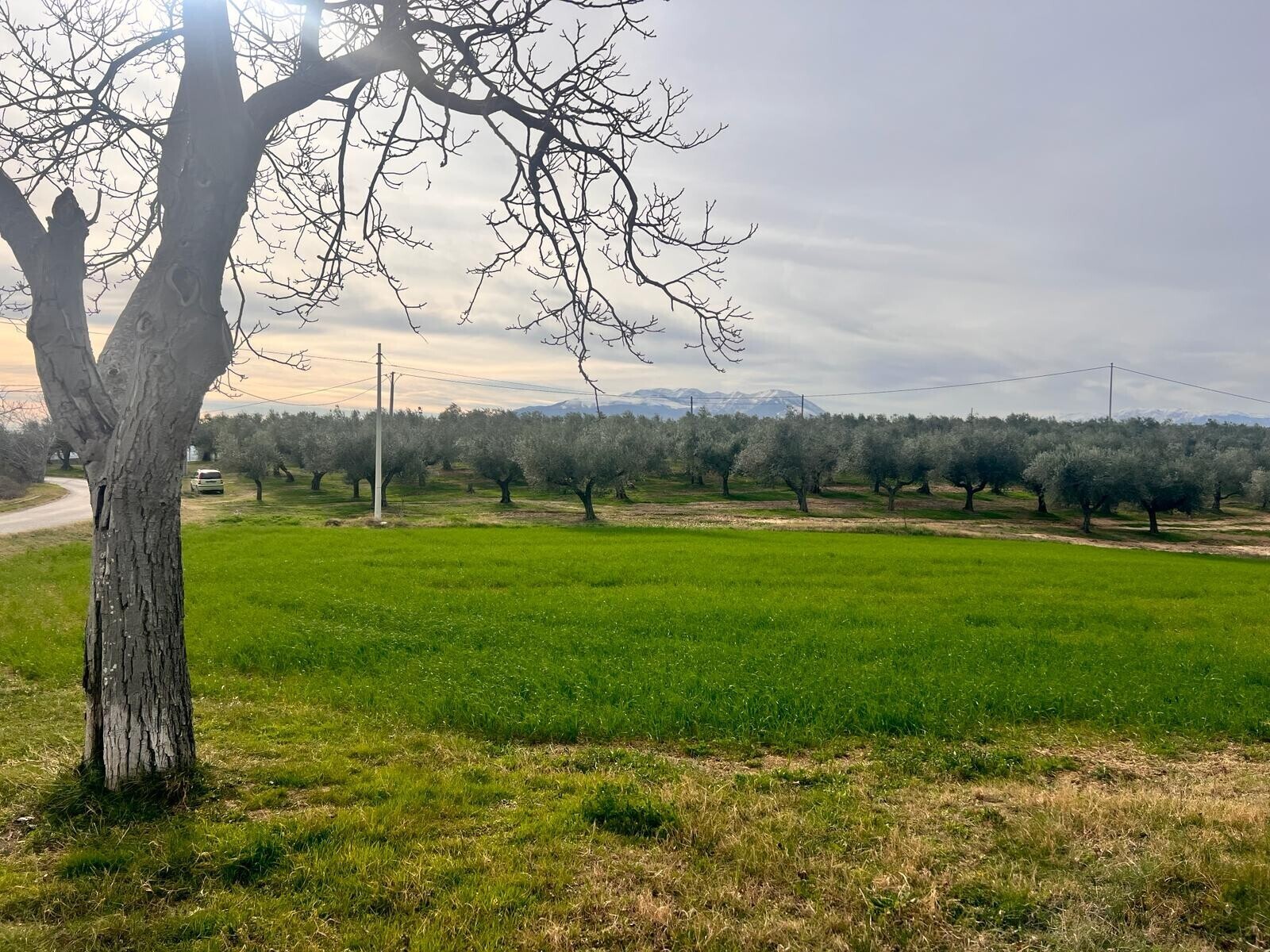 WhatsApp Image 2024-02-22 at 14.14.39 (4)