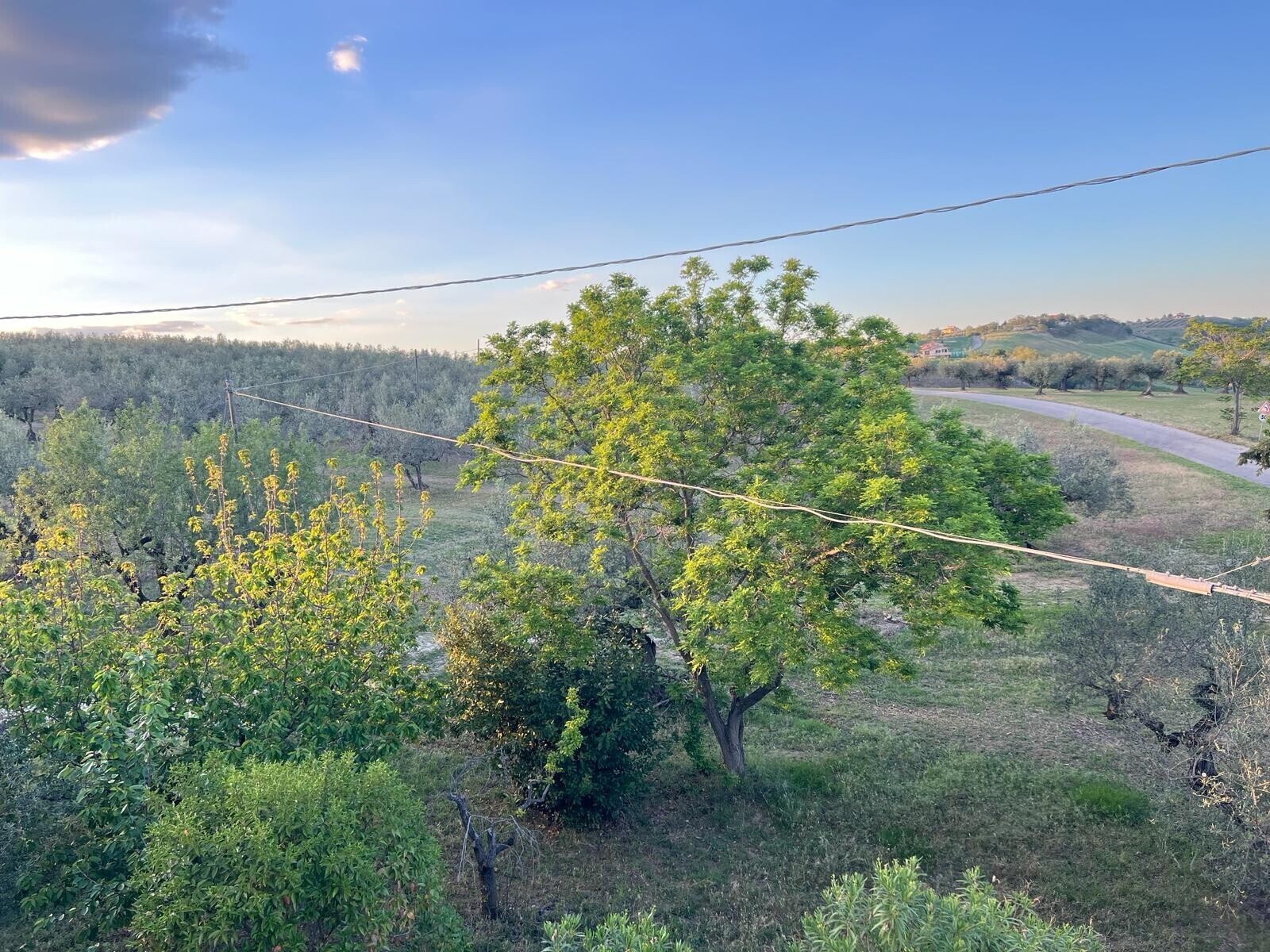 WhatsApp Image 2024-05-14 at 14.17.01 (28)