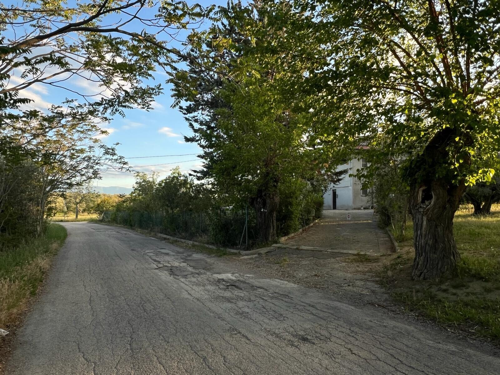 WhatsApp Image 2024-05-14 at 14.17.01 (6)