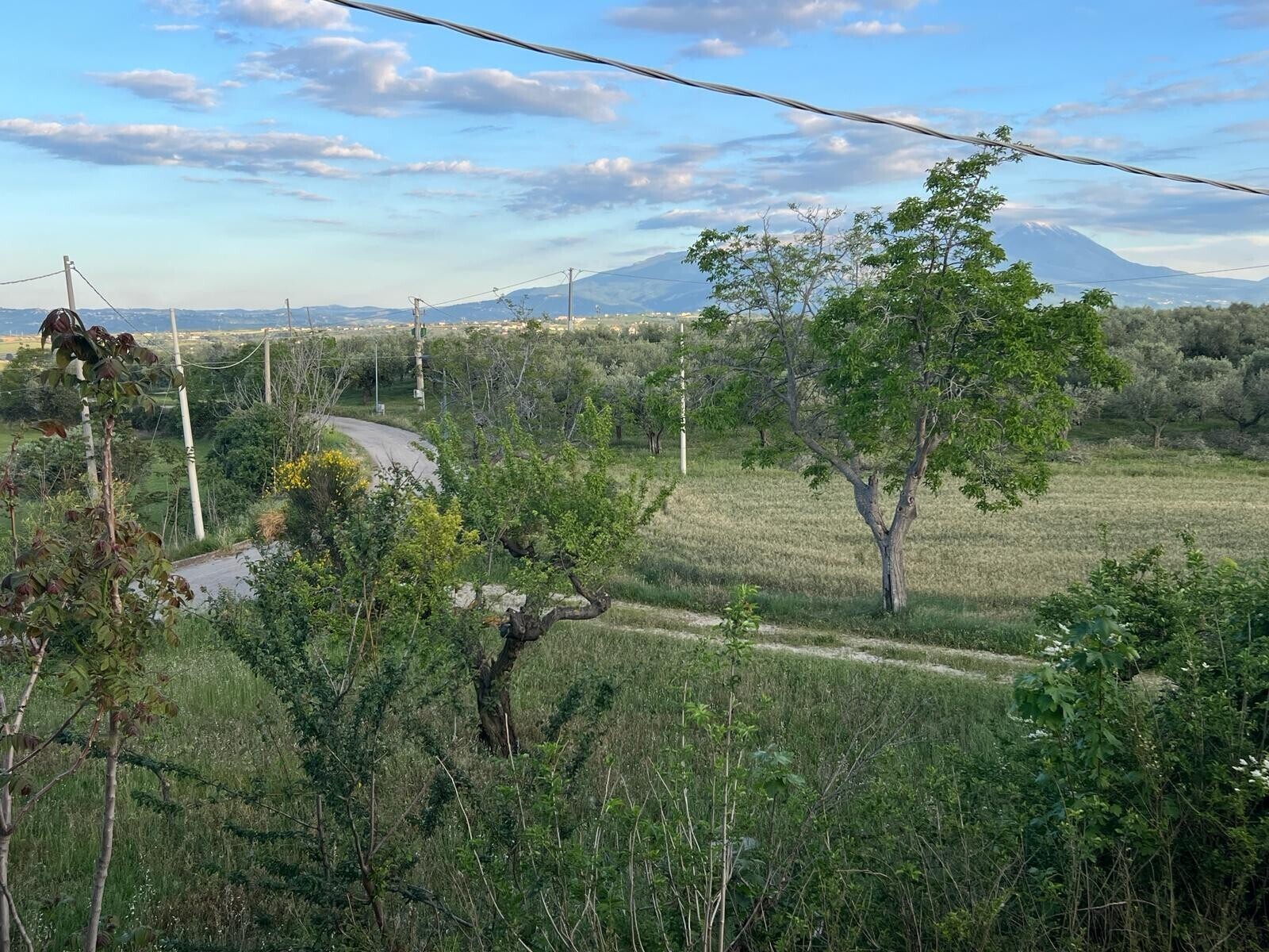 WhatsApp Image 2024-05-14 at 14.17.01 (12)