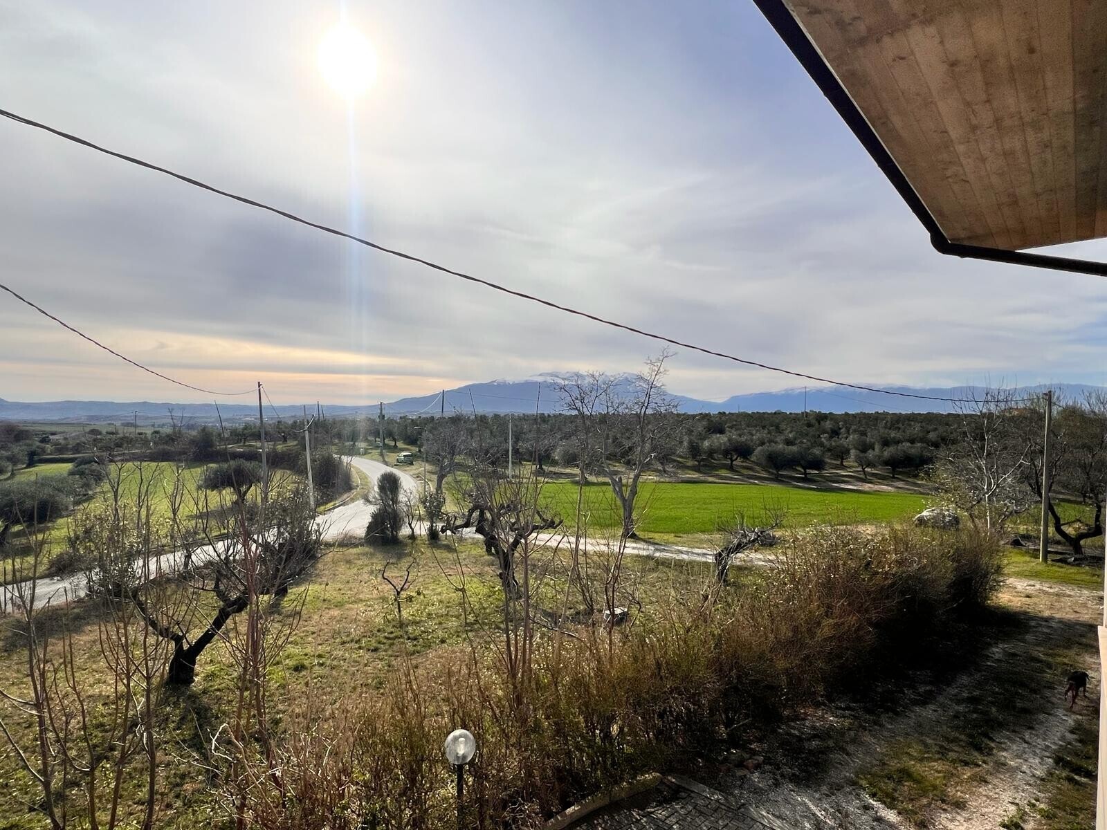 WhatsApp Image 2024-02-22 at 14.14.39 (22)