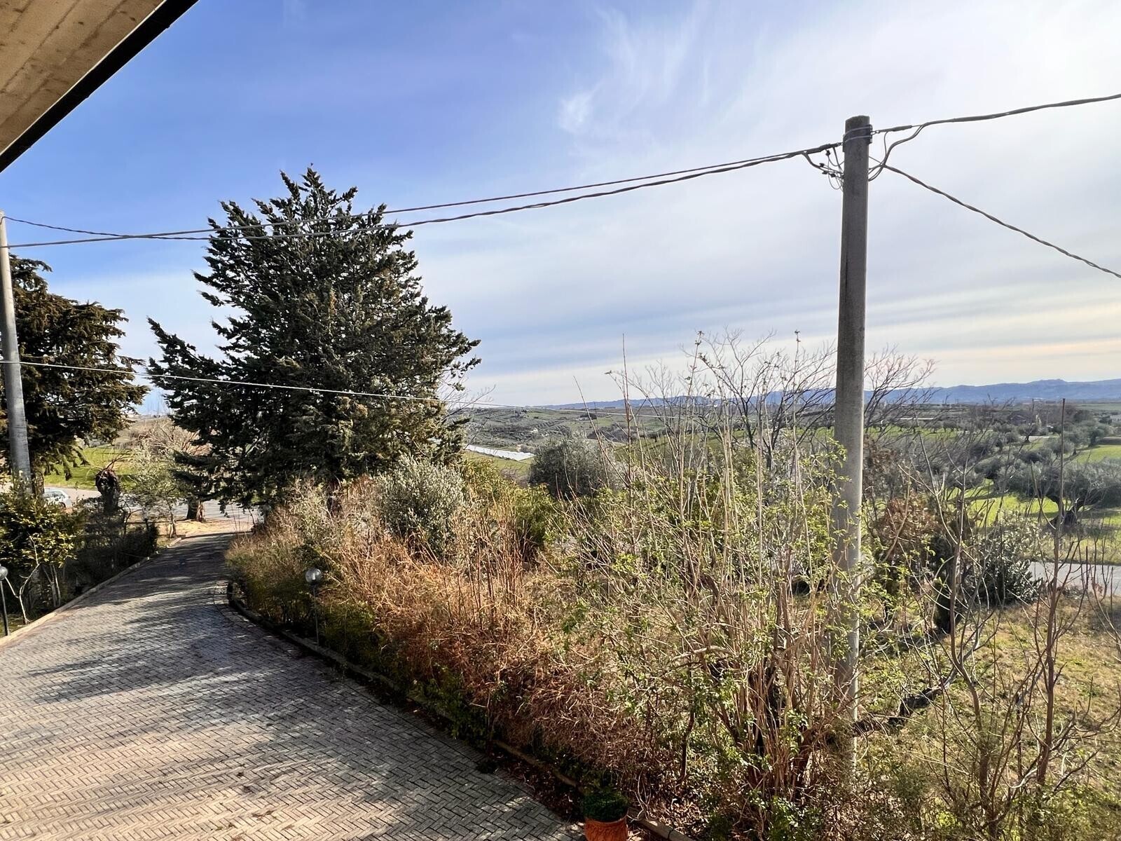 WhatsApp Image 2024-02-22 at 14.14.39 (21)