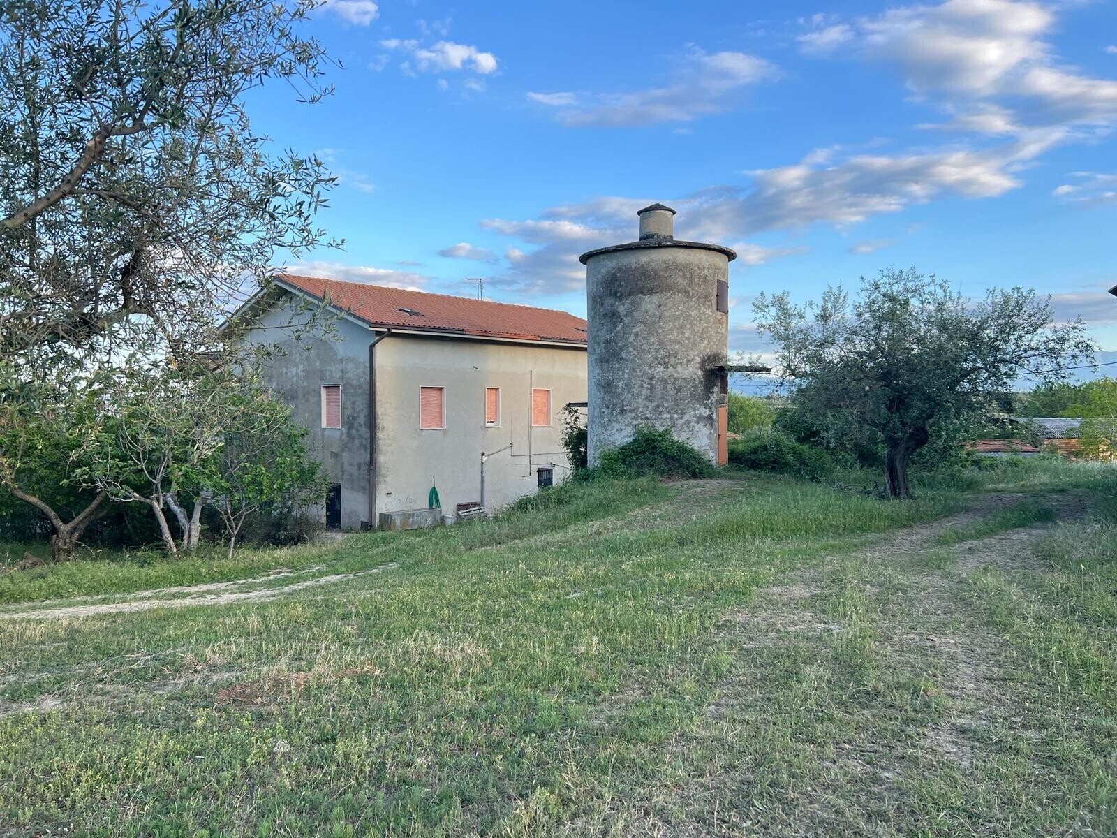 WhatsApp Image 2024-05-14 at 14.17.54