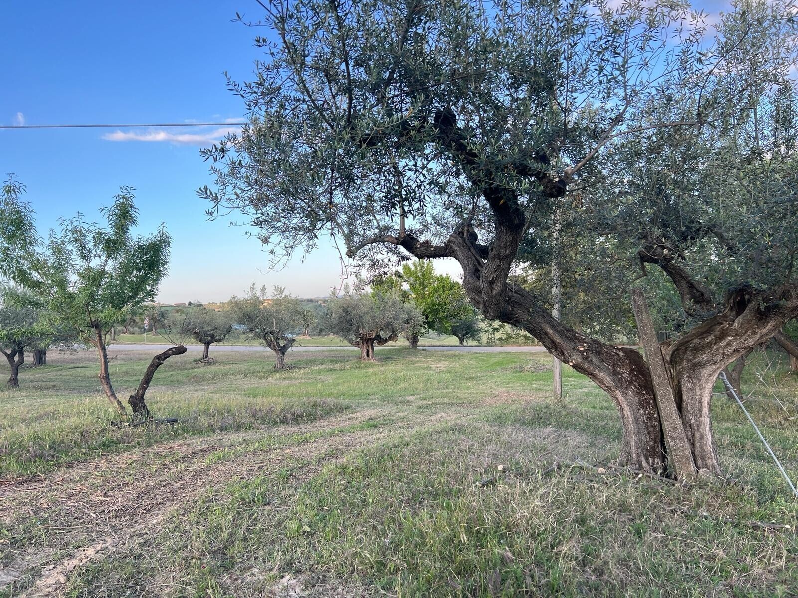 WhatsApp Image 2024-05-14 at 14.17.54 (1)