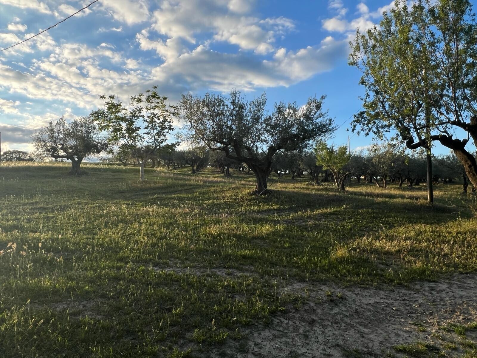 WhatsApp Image 2024-05-14 at 14.17.01 (5)