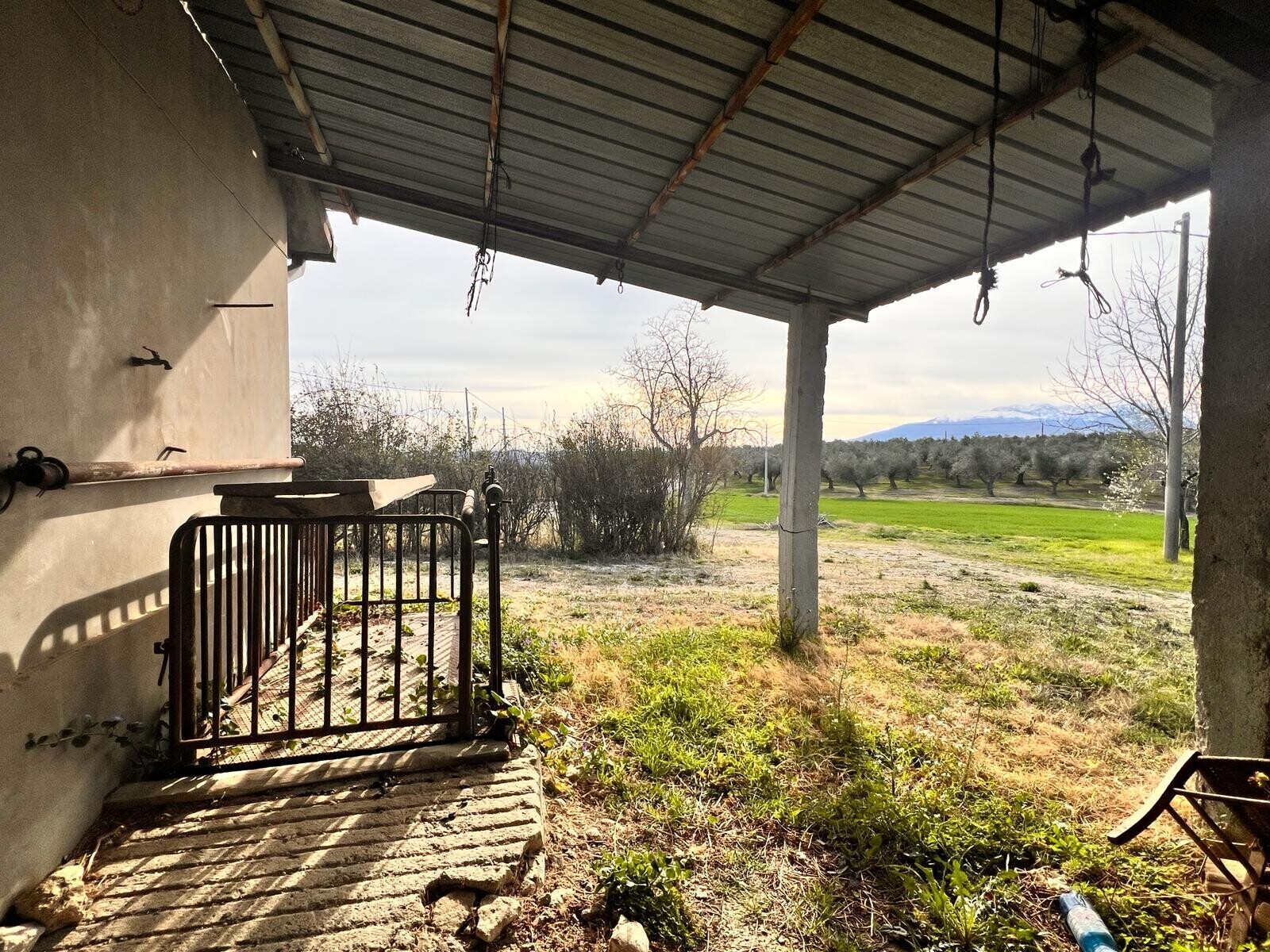 WhatsApp Image 2024-02-22 at 14.14.39 (14)