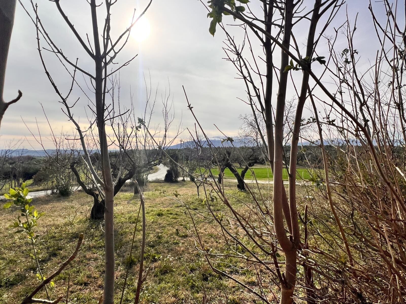 WhatsApp Image 2024-02-22 at 14.14.39 (19)