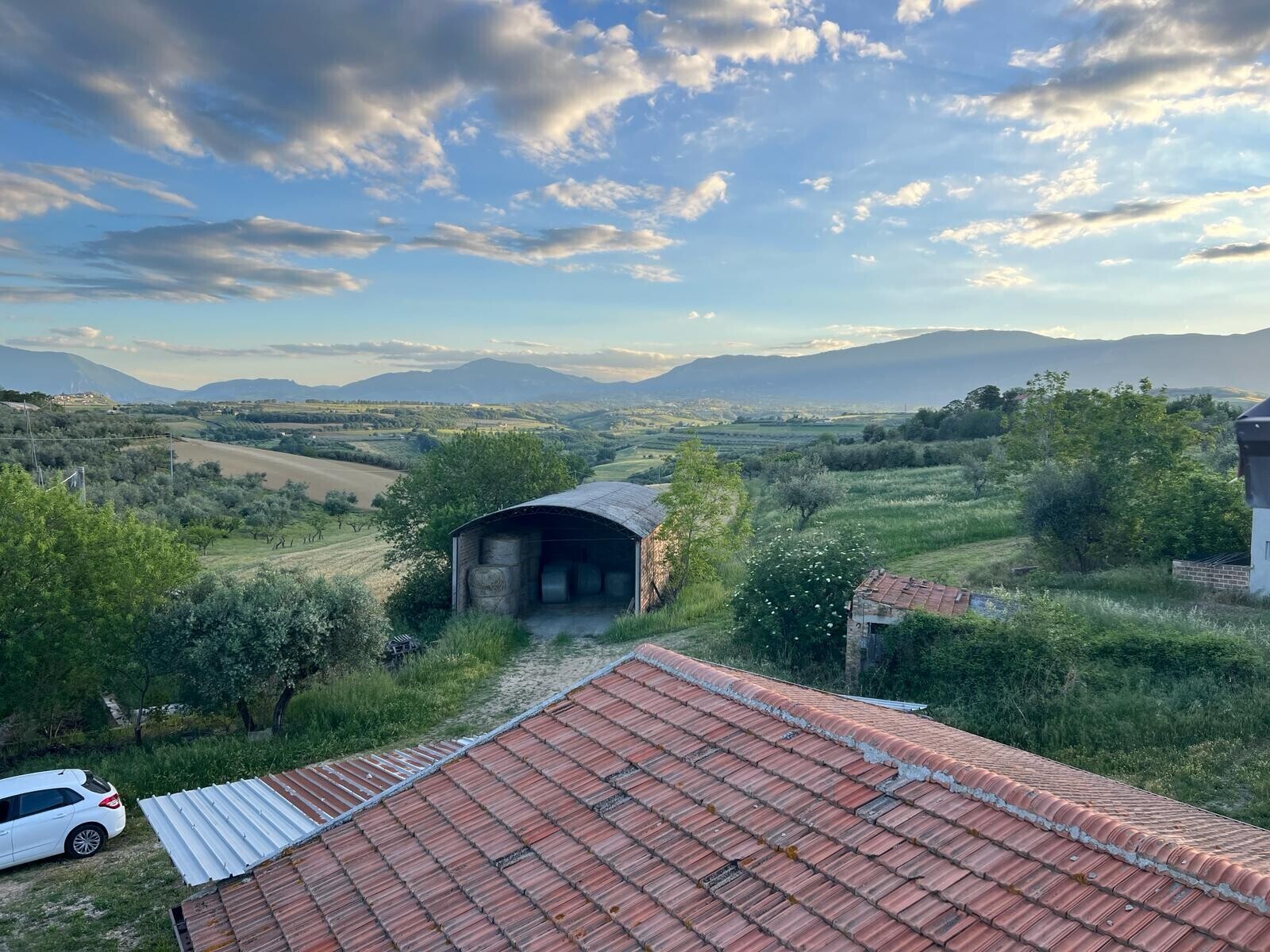 WhatsApp Image 2024-05-14 at 14.17.01 (20)