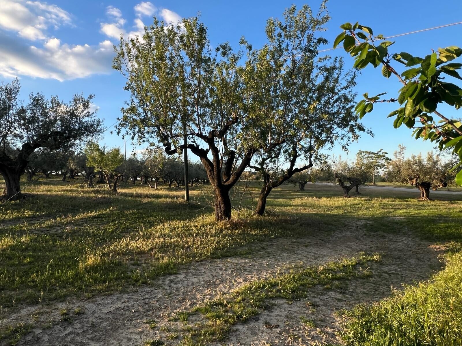 WhatsApp Image 2024-05-14 at 14.17.01 (4)