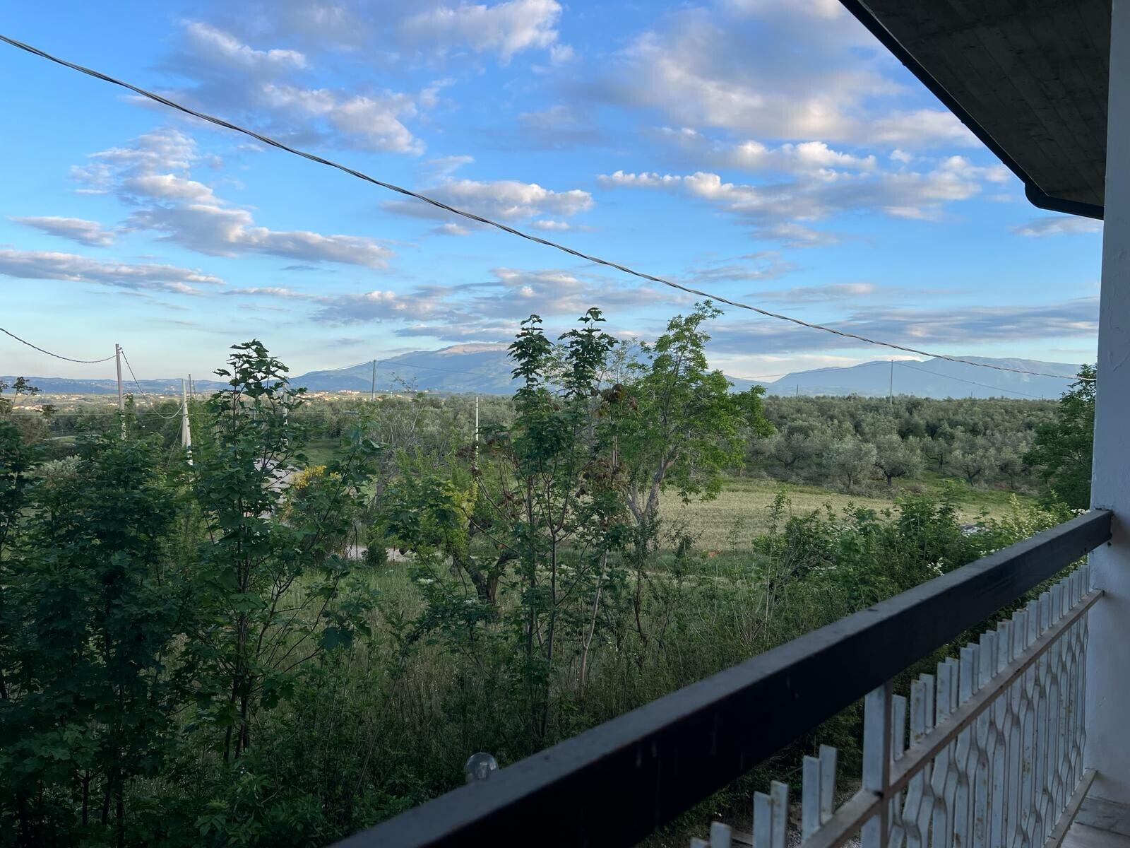 WhatsApp Image 2024-05-14 at 14.17.01 (14)