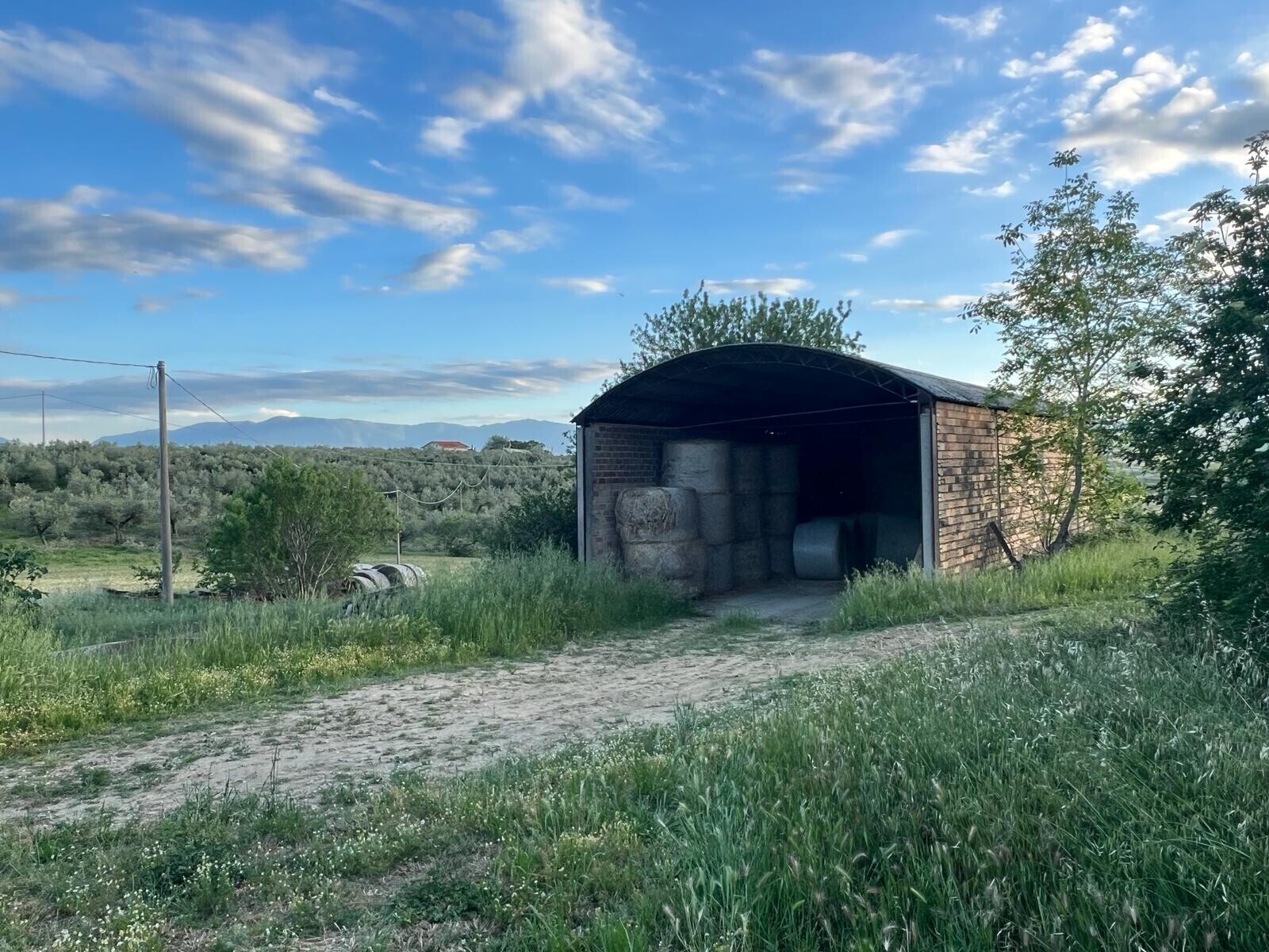 WhatsApp Image 2024-05-14 at 14.17.54 (4)