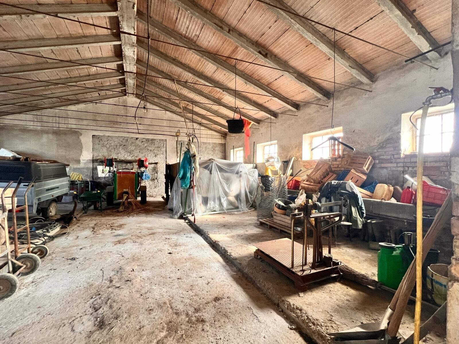 WhatsApp Image 2024-02-22 at 14.14.39 (13)