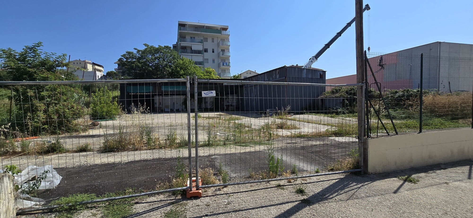 WhatsApp Image 2025-06-24 at 11.40.56 (4)