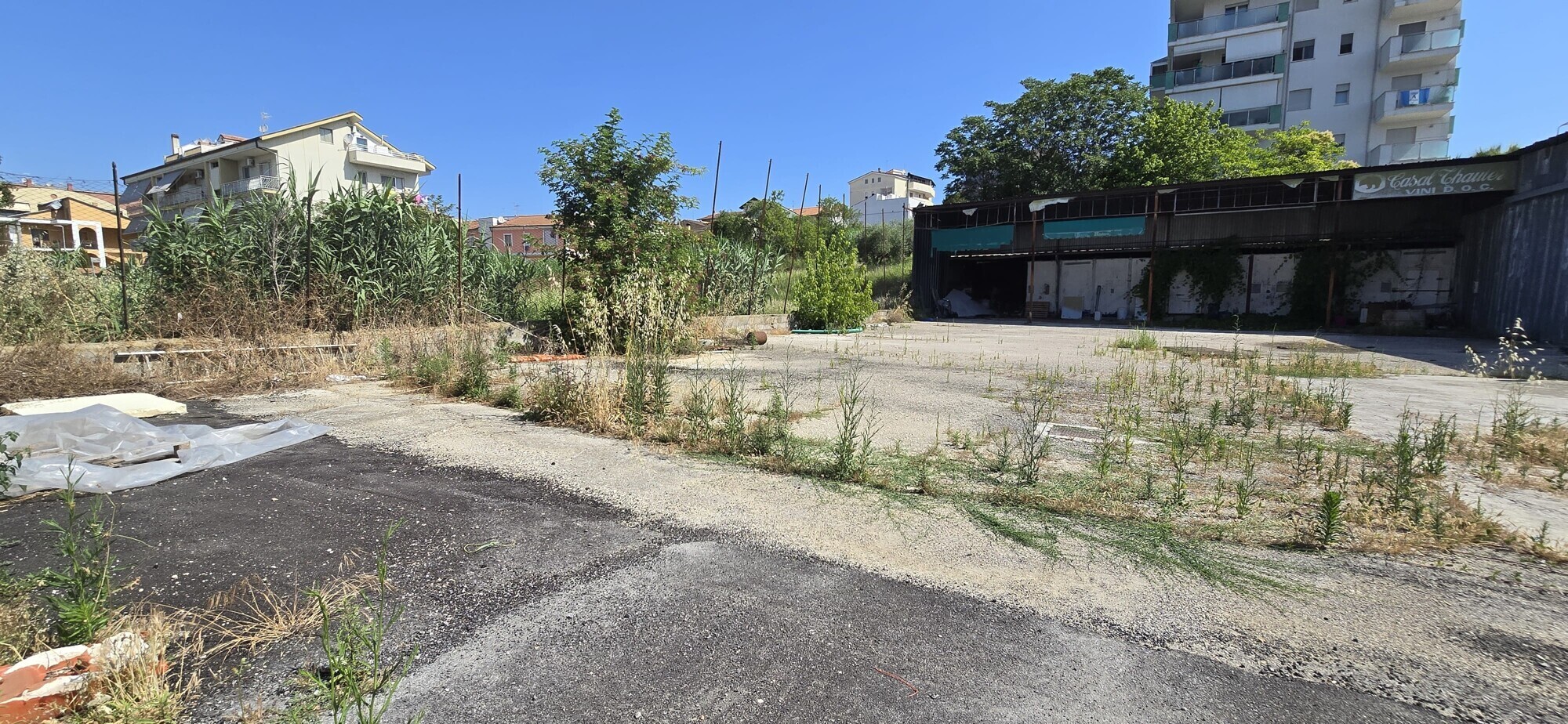 WhatsApp Image 2025-06-24 at 11.40.56 (2)