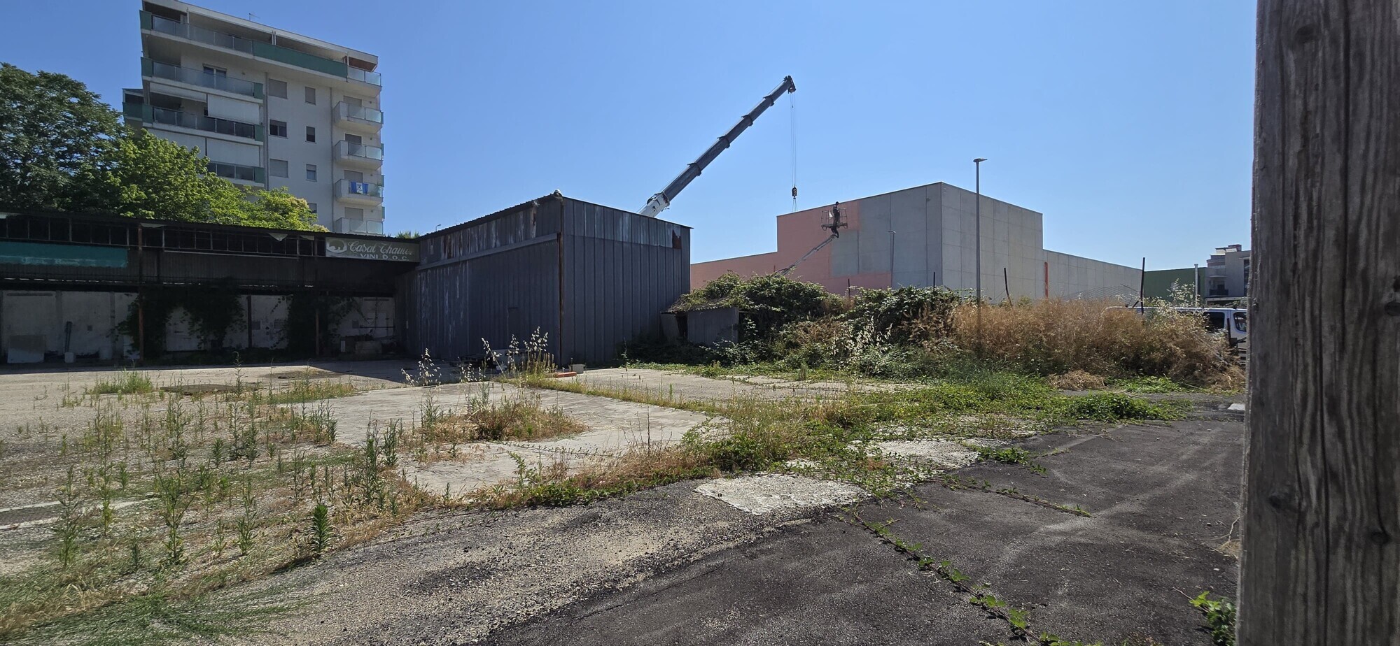 WhatsApp Image 2025-06-24 at 11.40.56 (3)