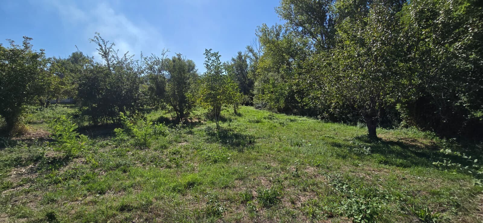 WhatsApp Image 2025-09-08 at 11.27.49 (3)