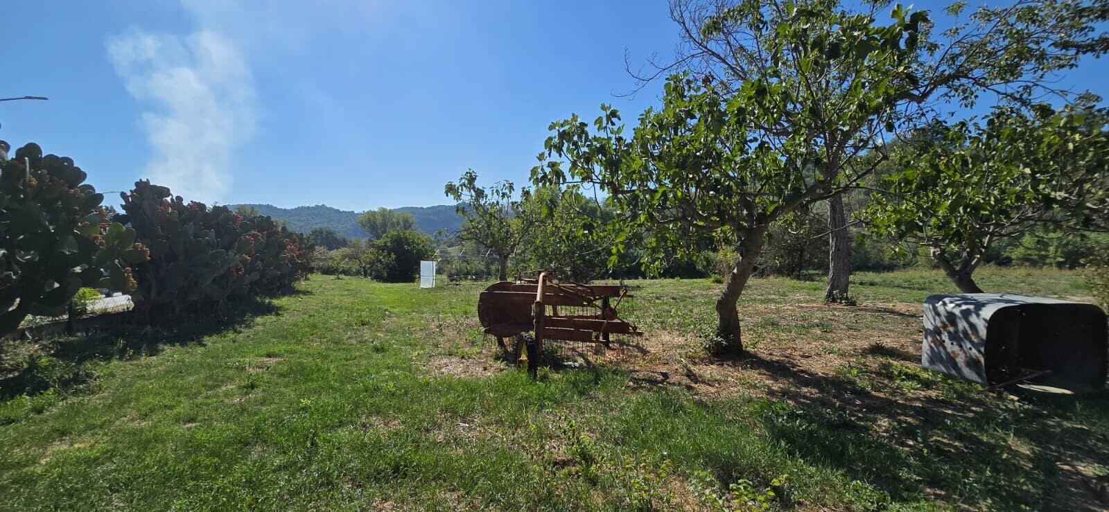 WhatsApp Image 2025-09-08 at 11.27.48