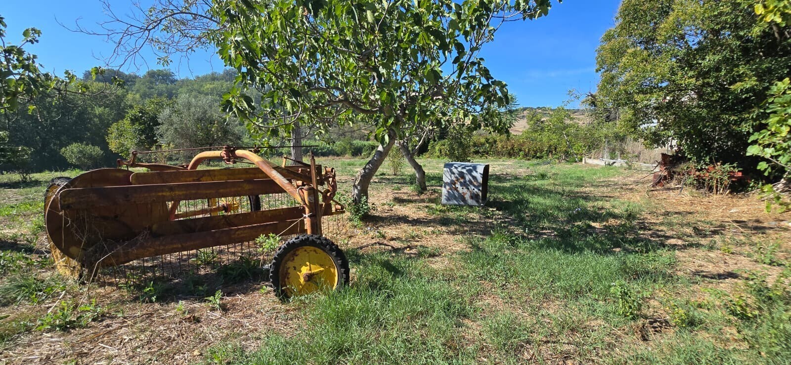 WhatsApp Image 2025-09-08 at 11.27.48 (1)