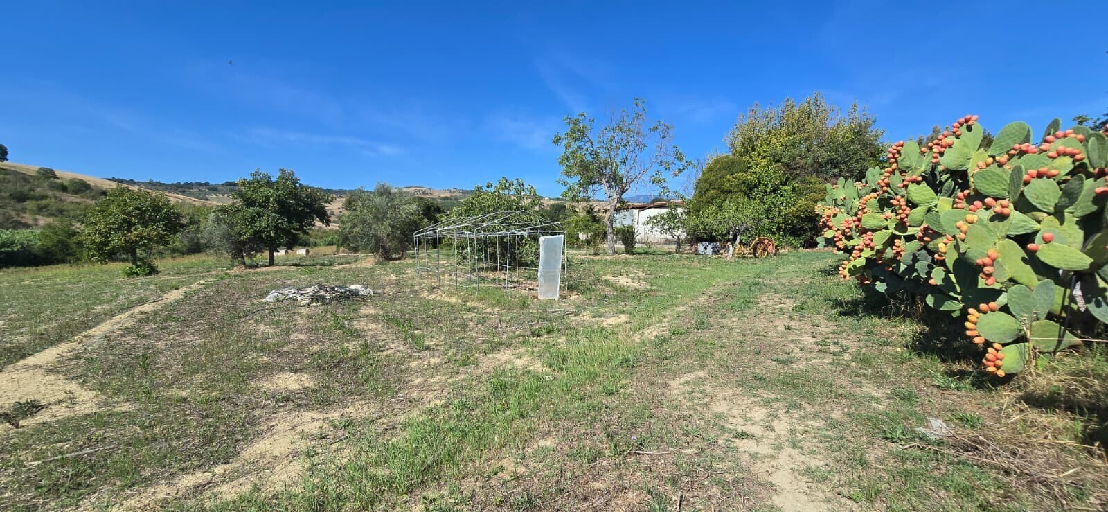 WhatsApp Image 2025-09-08 at 11.27.48 (3)