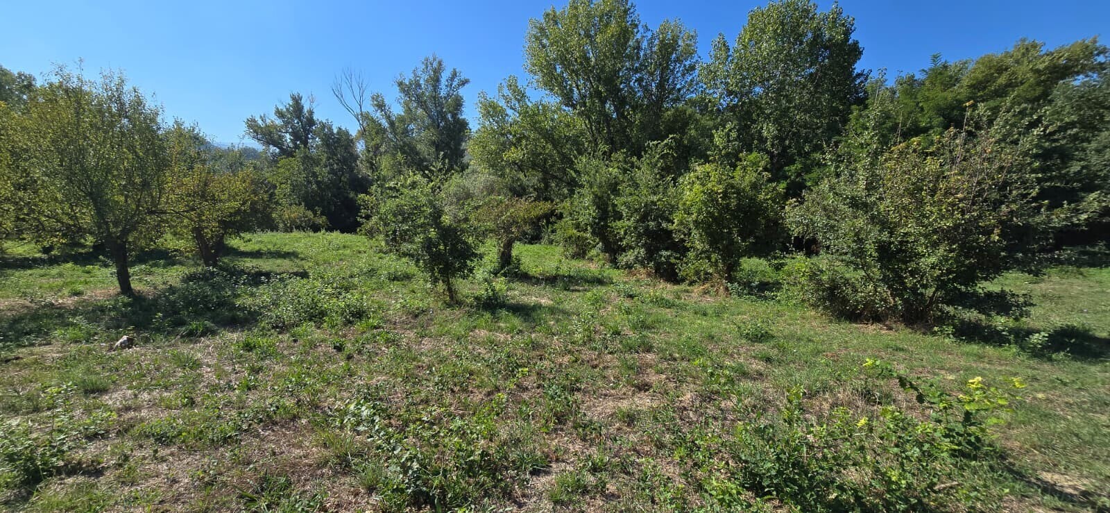 WhatsApp Image 2025-09-08 at 11.27.49 (1)