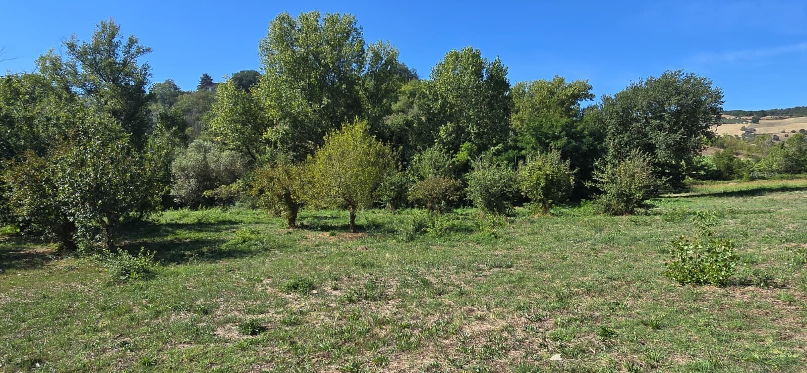 WhatsApp Image 2025-09-08 at 11.27.48 (9)