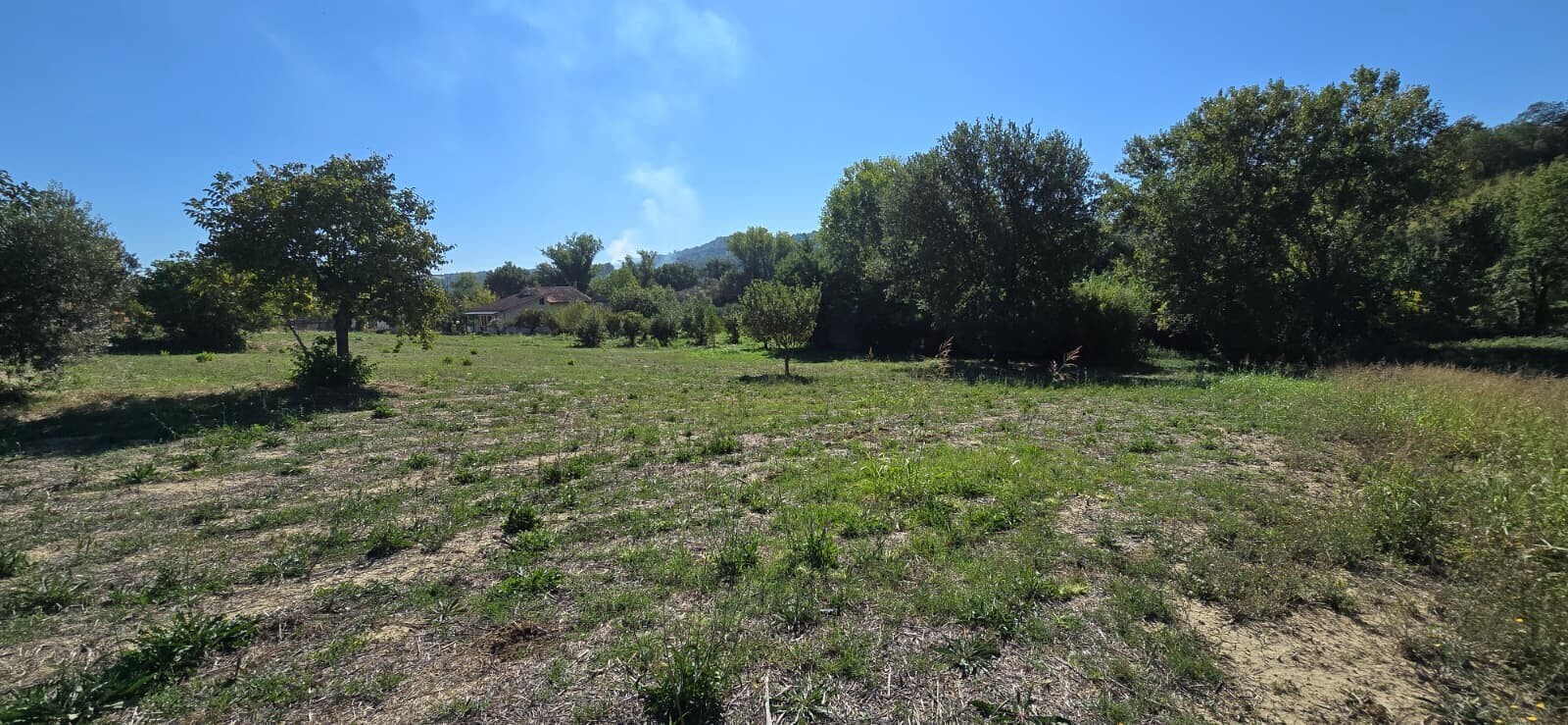 WhatsApp Image 2025-09-08 at 11.27.49 (8)