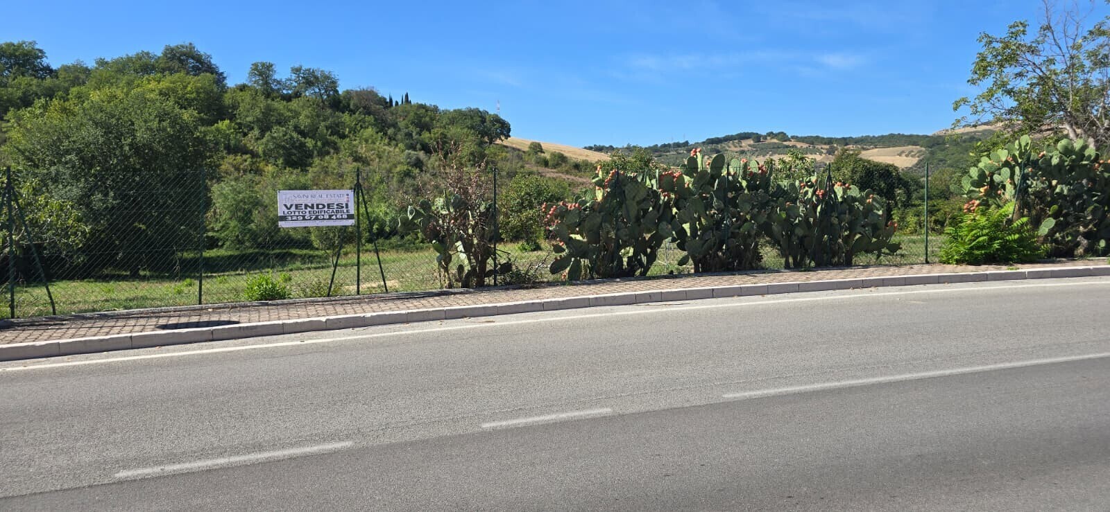 WhatsApp Image 2025-09-08 at 11.27.47 (1)