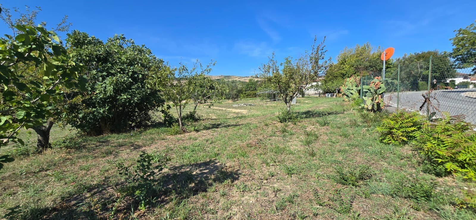 WhatsApp Image 2025-09-08 at 11.27.48 (5)