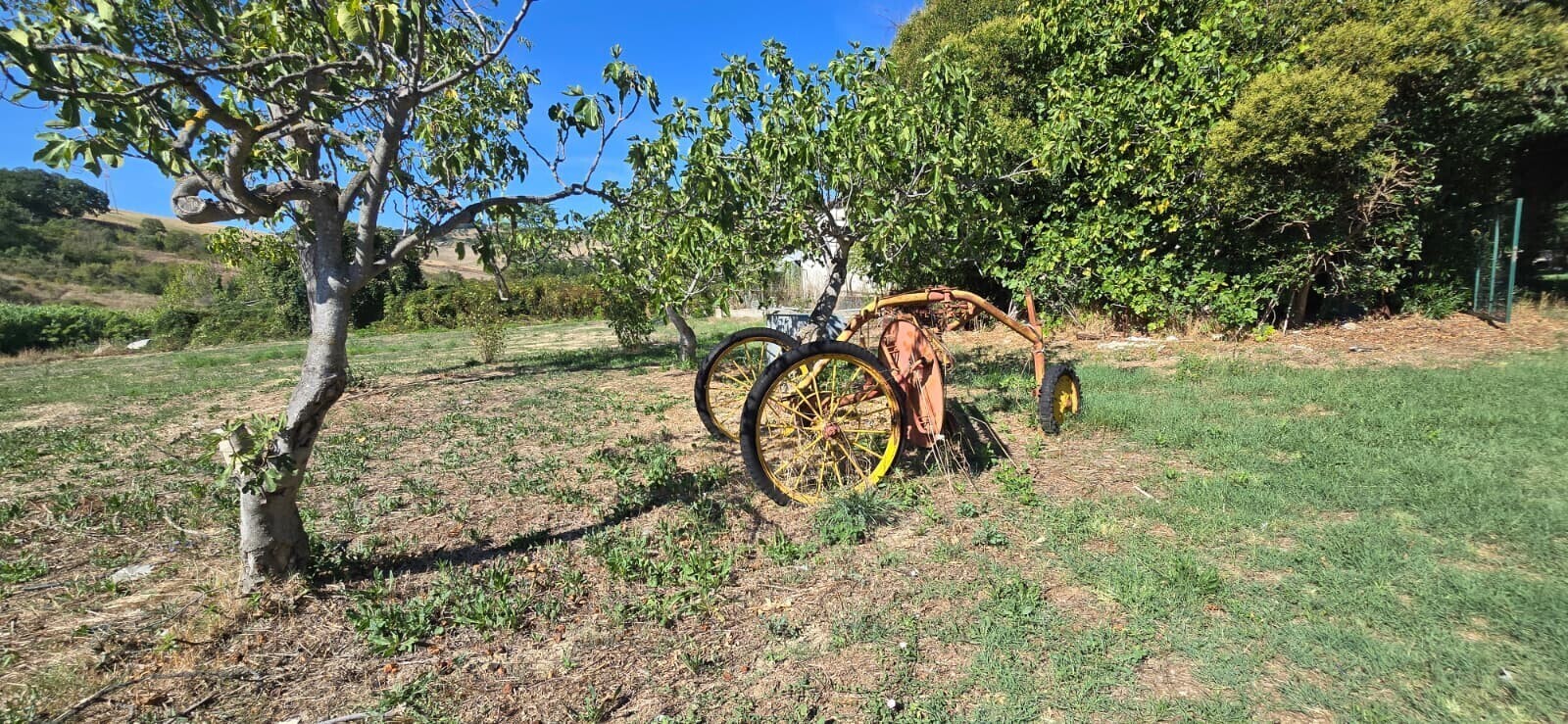 WhatsApp Image 2025-09-08 at 11.27.48 (2)