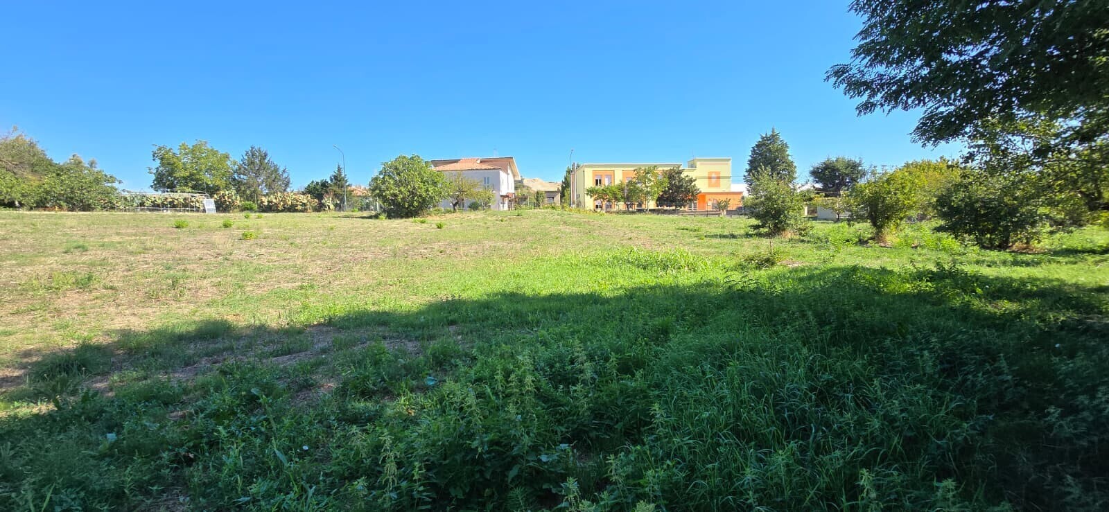 WhatsApp Image 2025-09-08 at 11.27.49 (5)