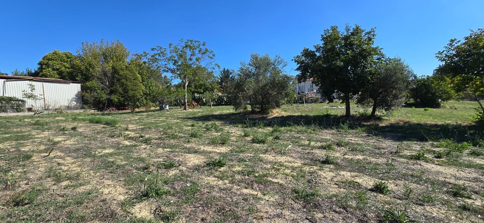 WhatsApp Image 2025-09-08 at 11.27.49 (7)