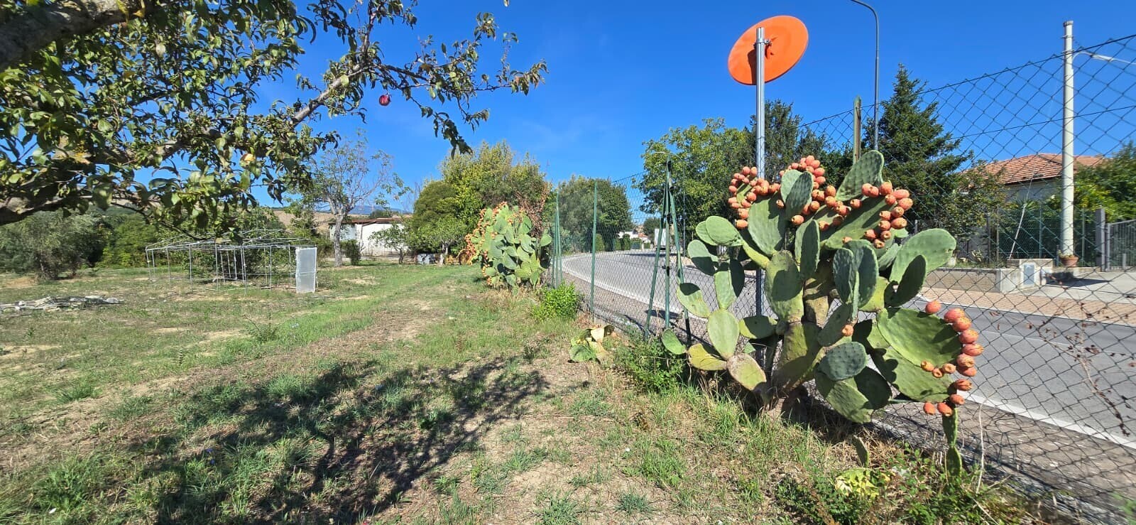 WhatsApp Image 2025-09-08 at 11.27.48 (4)