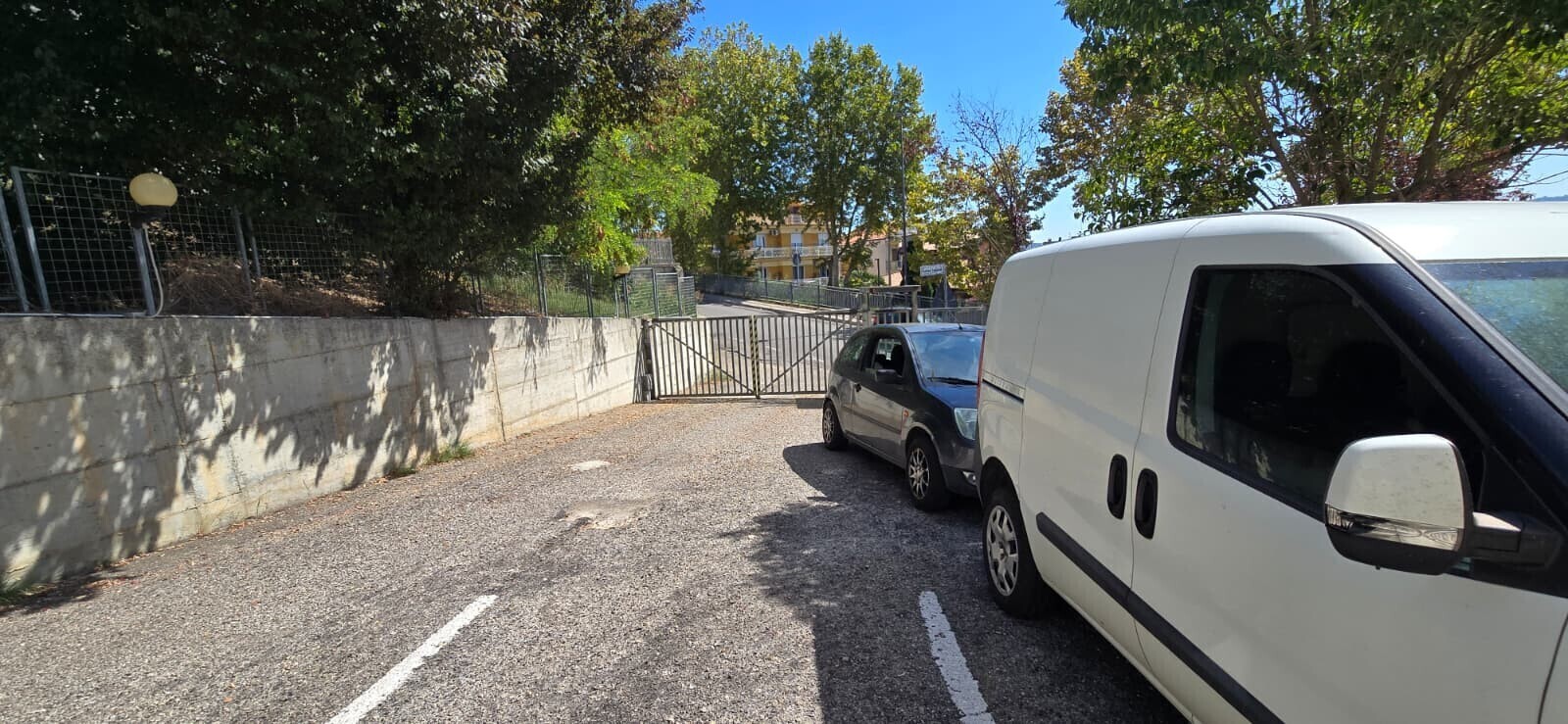 WhatsApp Image 2025-09-09 at 08.00.14