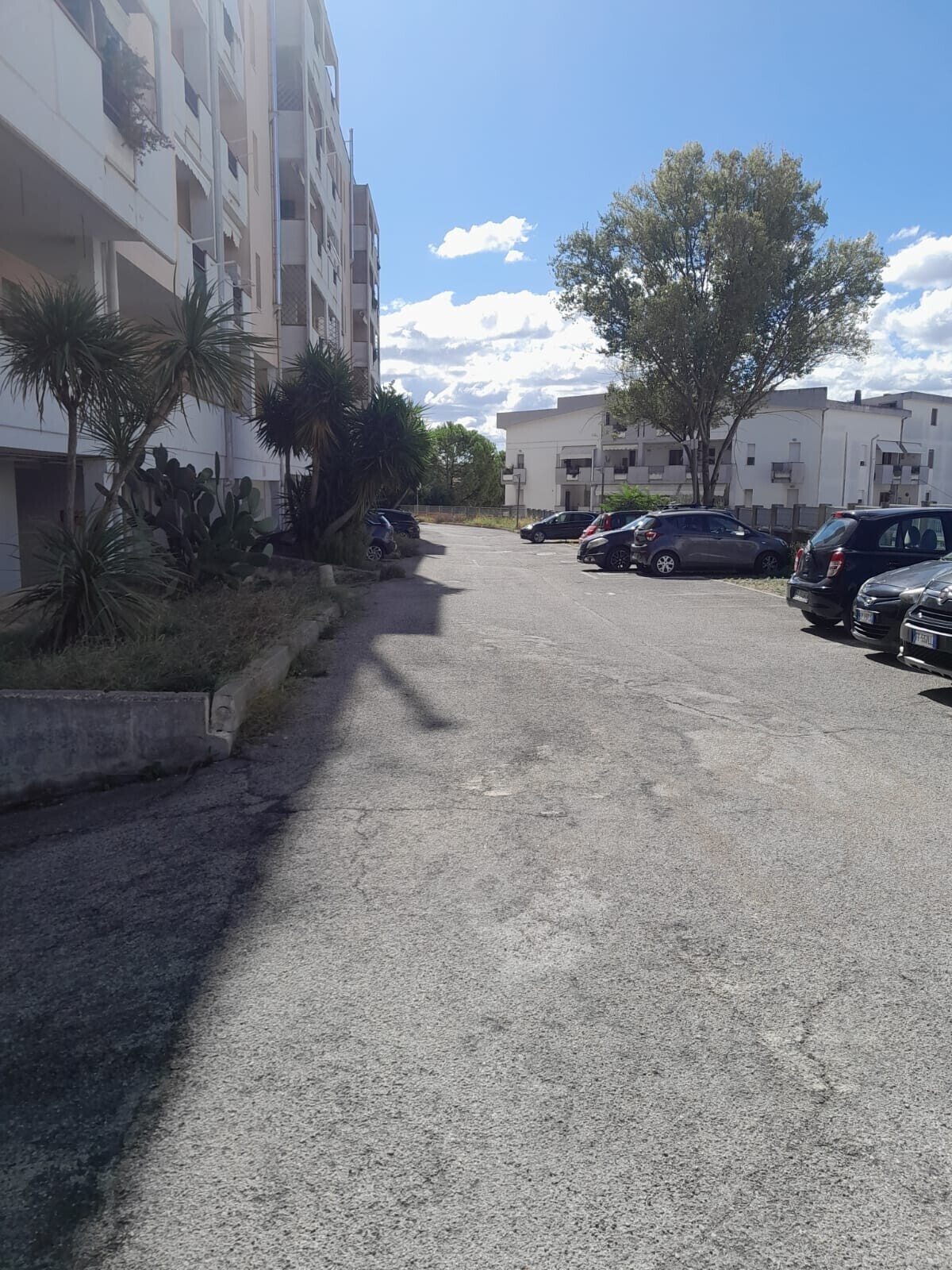 WhatsApp Image 2025-10-06 at 15.57.29