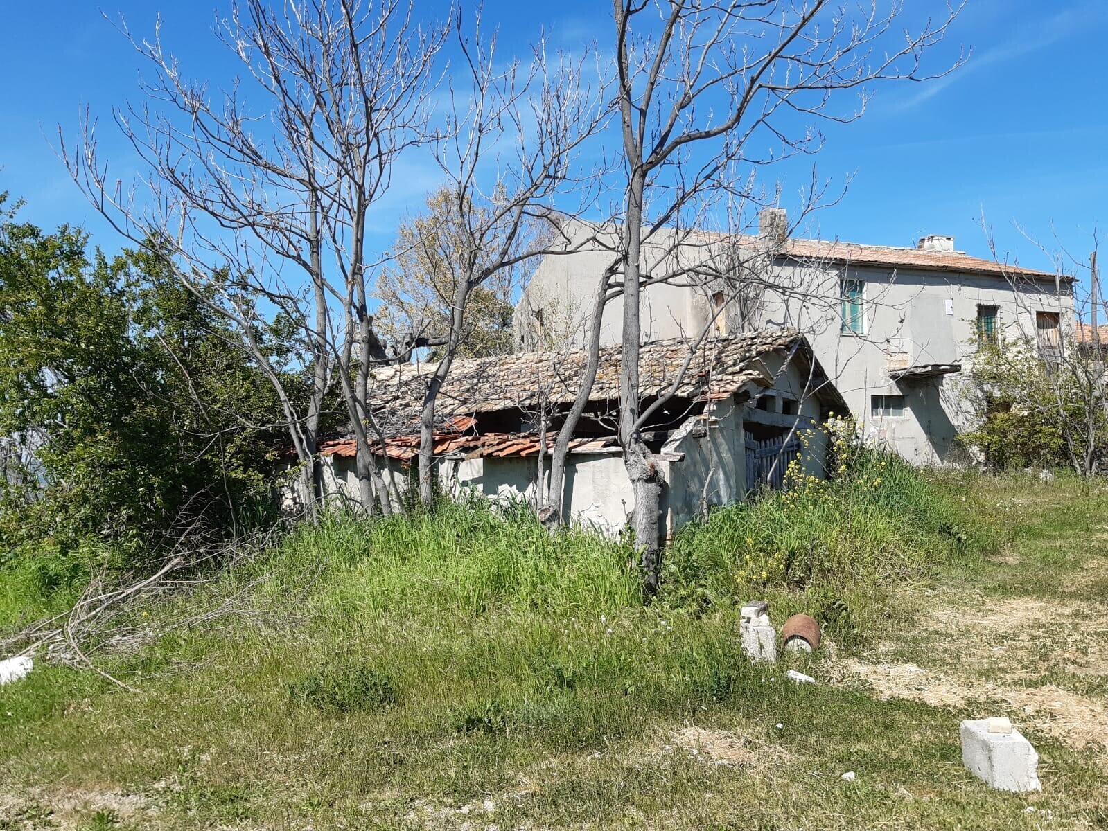 casale4