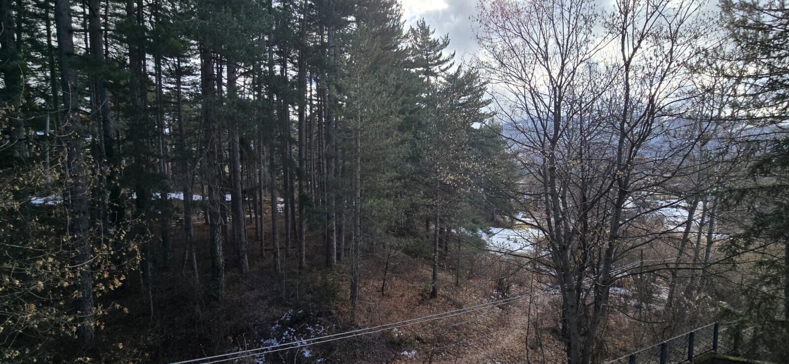 WhatsApp Image 2026-01-18 at 22.14.04