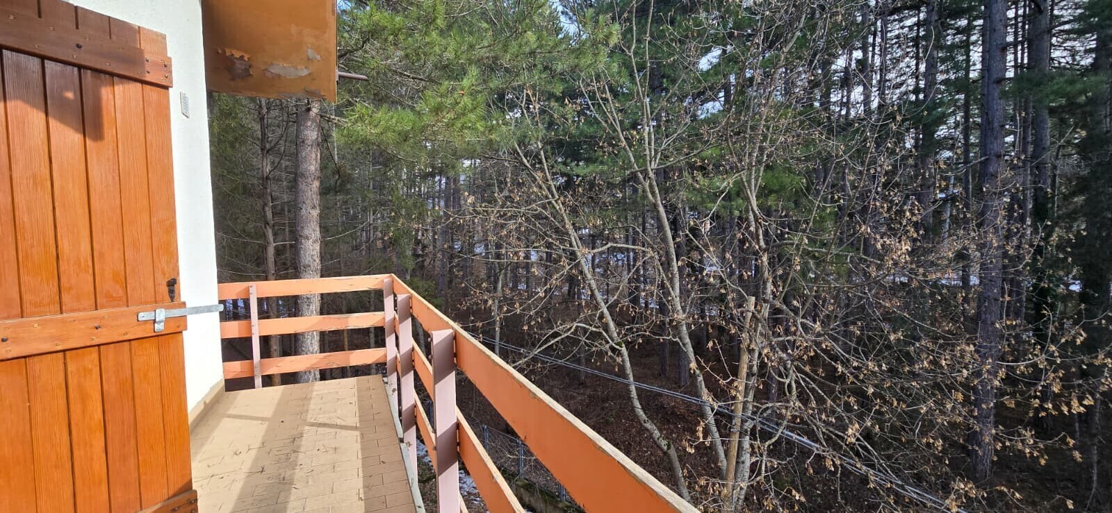 WhatsApp Image 2026-01-18 at 22.14.06